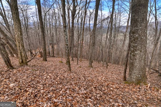 LTS 159,160 Hickory Trace, Ellijay, GA 30536