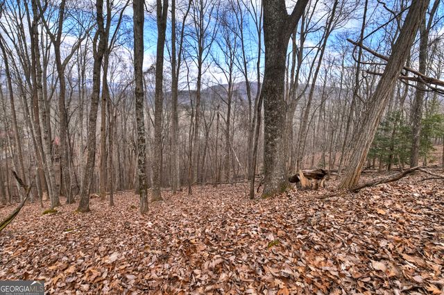 LTS 159,160 Hickory Trace, Ellijay, GA 30536