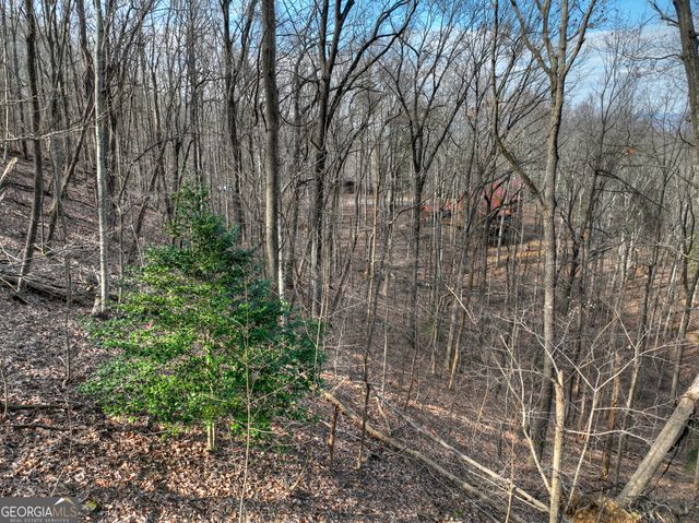 LTS 159,160 Hickory Trace, Ellijay, GA 30536