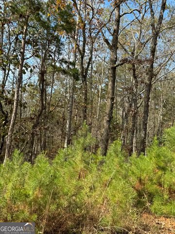 0 Gobbler Creek Road, Delta, AL 36258