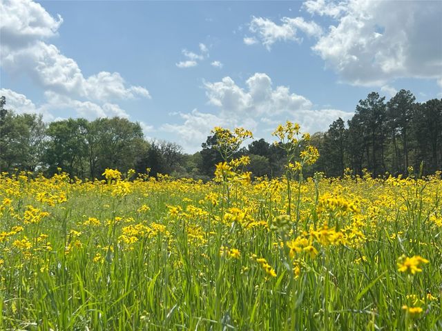 23004-2 Landrum Village Drive, Montgomery, TX 77316