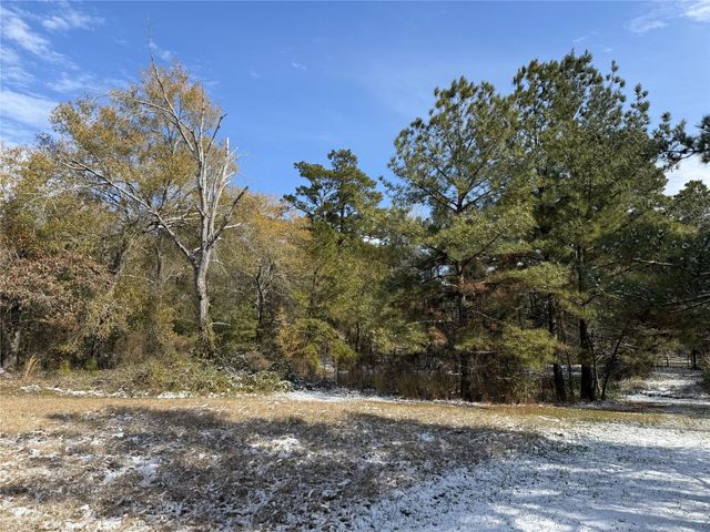 23004-2 Landrum Village Drive, Montgomery, TX 77316