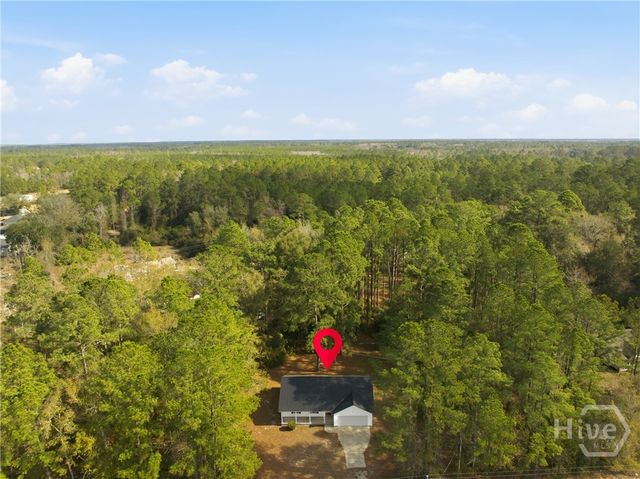 3722 Old Darien-Macon Darien Road, Ludowici, GA 31316