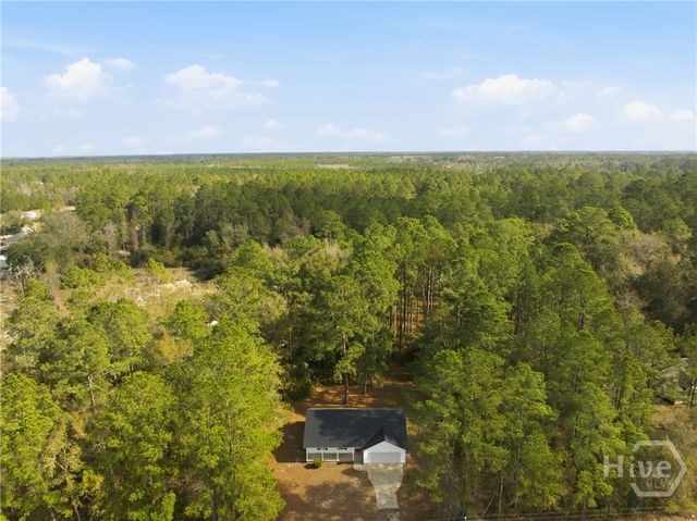 3722 Old Darien-Macon Darien Road, Ludowici, GA 31316