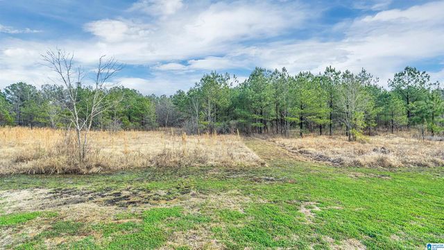 185 HERB COLLETTE DRIVE, Steele, AL 35987