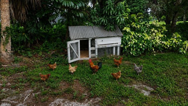4786 Ridgewood Road E, Boynton Beach, FL 33436