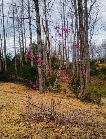2579 Quarles RD, Thaxton, VA 24174