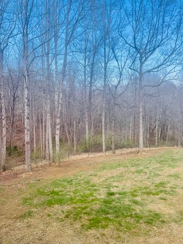 2579 Quarles RD, Thaxton, VA 24174