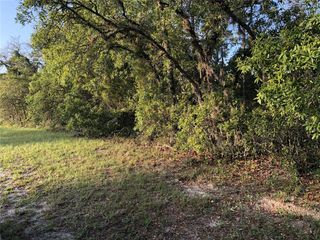 UNDERTERMINED, Ocala, FL 34473
