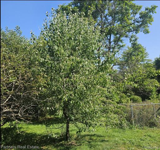 1382 Lucy Road, Marion Township, MI 48843