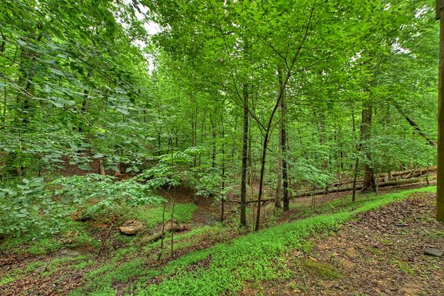 161 Foxhound Court, Ellijay, GA 30540