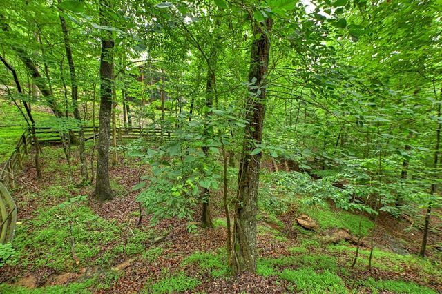 161 Foxhound Court, Ellijay, GA 30540