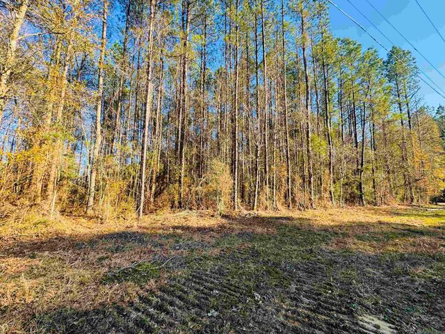 Lot 2 La Hwy 449, Pine Grove, LA 70453