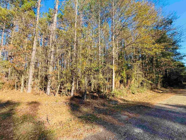 Lot 2 La Hwy 449, Pine Grove, LA 70453