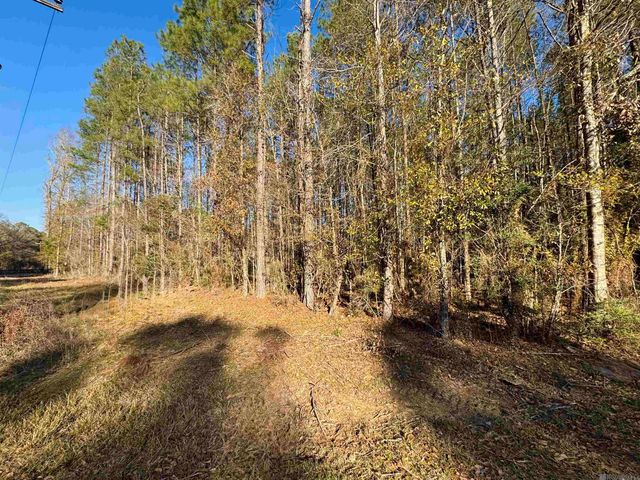 Lot 2 La Hwy 449, Pine Grove, LA 70453