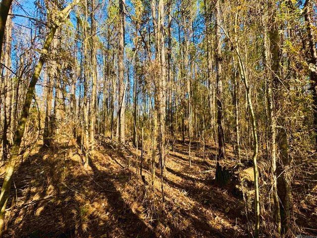 Lot 2 La Hwy 449, Pine Grove, LA 70453