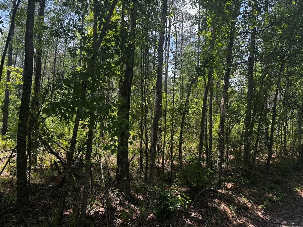 0 Jackson Street, Mount Vernon, AL 36560 — photo 3