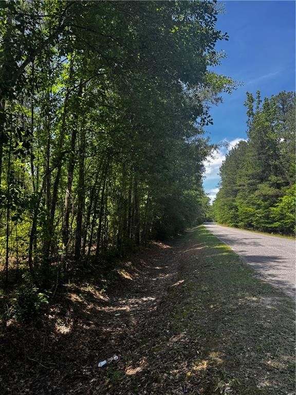 0 Jackson Street, Mount Vernon, AL 36560 — photo 4