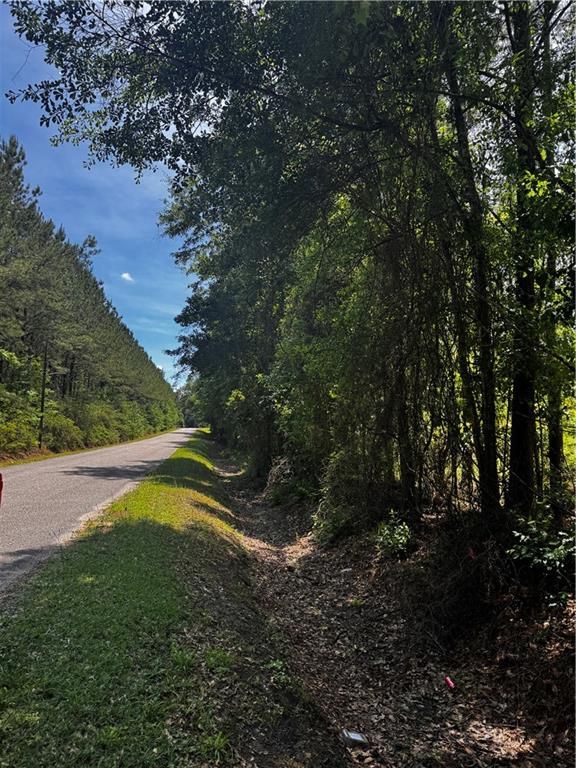 0 Jackson Street, Mount Vernon, AL 36560 — photo 5