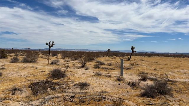 61434 La Brisa, Joshua Tree, CA 92252
