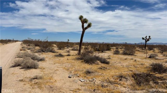 61434 La Brisa, Joshua Tree, CA 92252