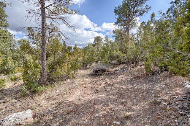 3358 N STONE BRIDGE Trail 4, Heber, AZ 85928