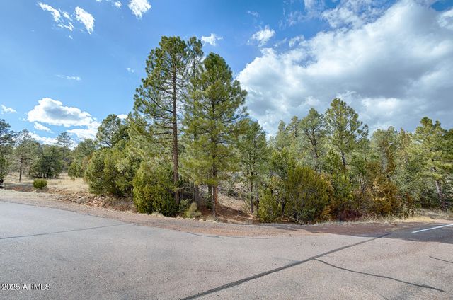 3358 N STONE BRIDGE Trail 4, Heber, AZ 85928