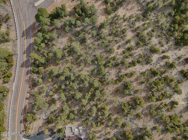 3358 N STONE BRIDGE Trail 4, Heber, AZ 85928