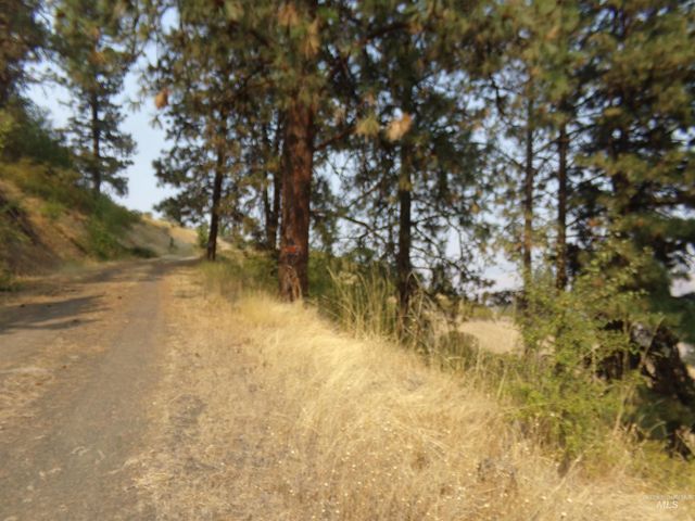 21650 Antler Lane, Lenore, ID 83503