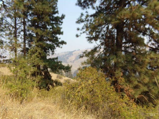 21650 Antler Lane, Lenore, ID 83503