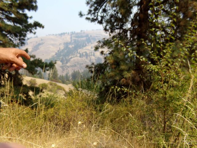 21650 Antler Lane, Lenore, ID 83503