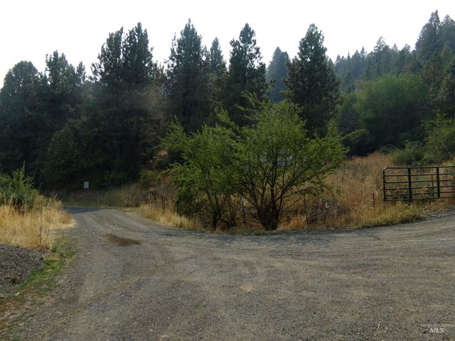 21650 Antler Lane, Lenore, ID 83503
