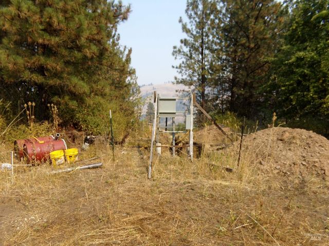21650 Antler Lane, Lenore, ID 83503
