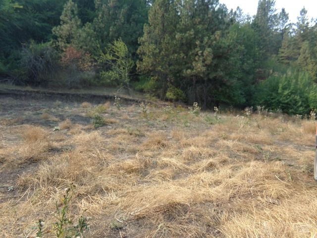 21650 Antler Lane, Lenore, ID 83503