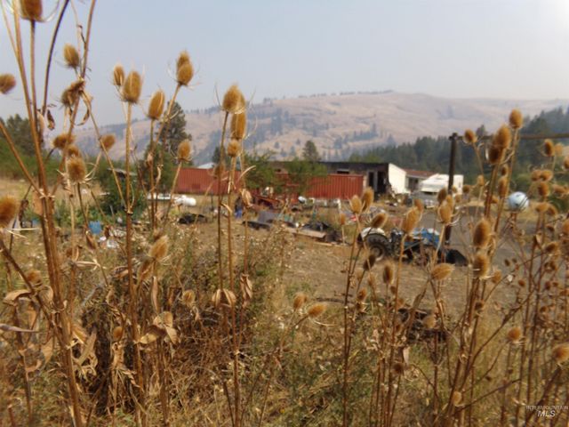 21650 Antler Lane, Lenore, ID 83503