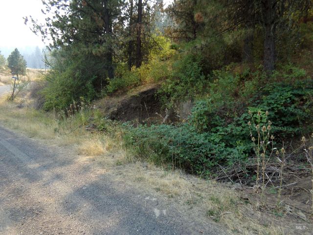 21650 Antler Lane, Lenore, ID 83503