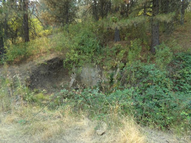 21650 Antler Lane, Lenore, ID 83503
