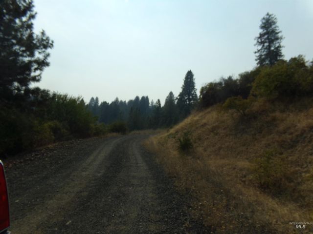 21650 Antler Lane, Lenore, ID 83503