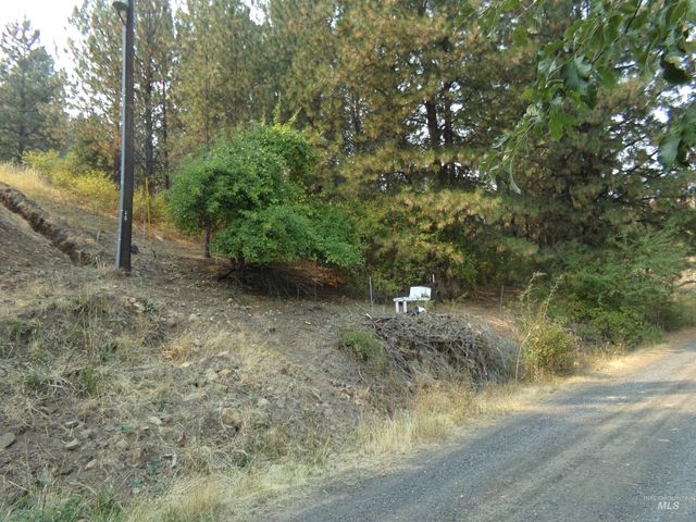 21650 Antler Lane, Lenore, ID 83503