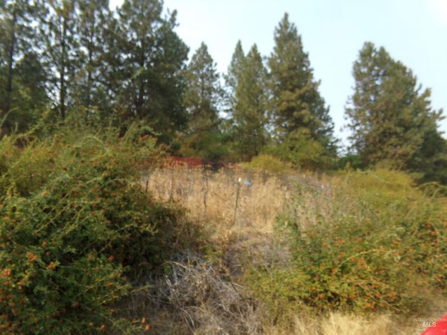 21650 Antler Lane, Lenore, ID 83503