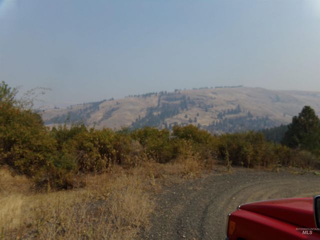 21650 Antler Lane, Lenore, ID 83503