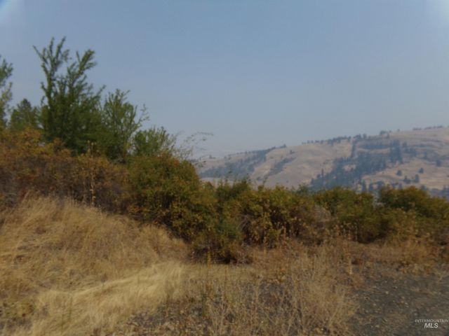 21650 Antler Lane, Lenore, ID 83503