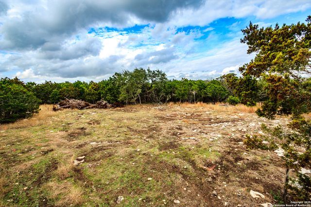 205 Bindweed Lane, Spring Branch, TX 78070