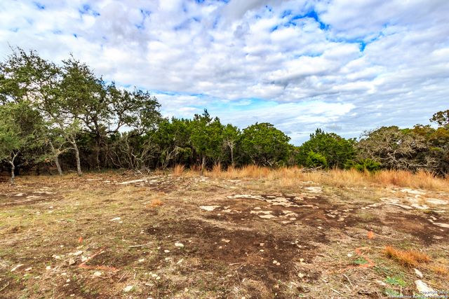 205 Bindweed Lane, Spring Branch, TX 78070
