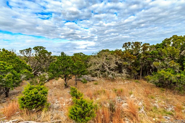 205 Bindweed Lane, Spring Branch, TX 78070