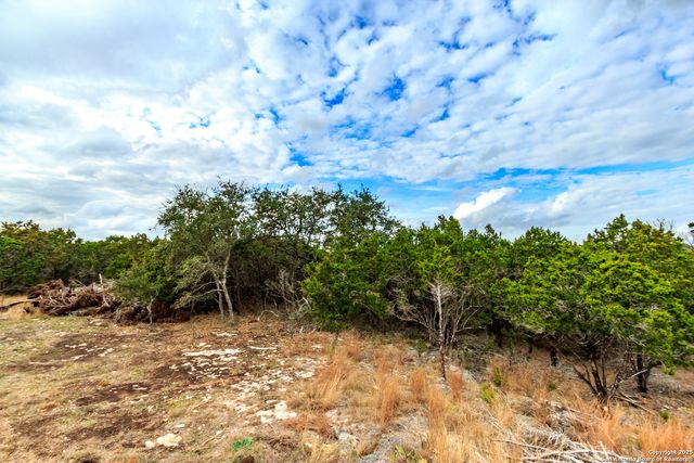 205 Bindweed Lane, Spring Branch, TX 78070