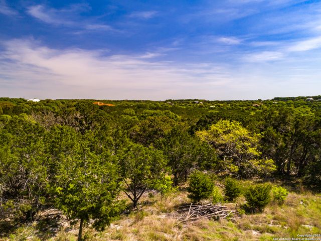 205 Bindweed Lane, Spring Branch, TX 78070