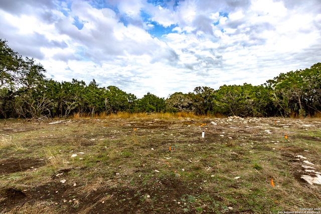 205 Bindweed Lane, Spring Branch, TX 78070