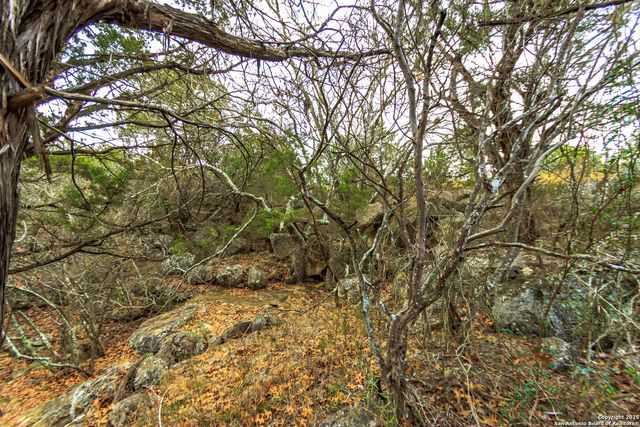 205 Bindweed Lane, Spring Branch, TX 78070