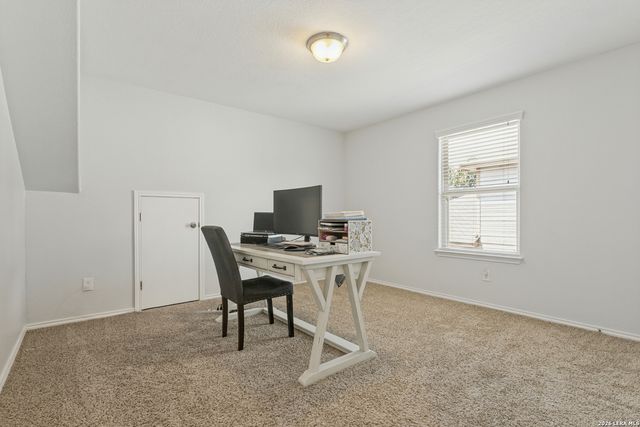 3814 Ox Eye Daisy, San Antonio, TX 78261